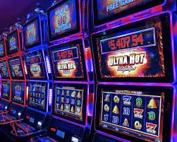 sss55bet sss55bet